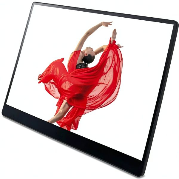 Ricoh 150 Portable OLED Monitor Touchscreen Wireless-0