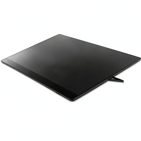 Ricoh 150 Portable OLED Monitor Touchscreen Wireless-2