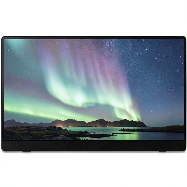 Ricoh 150 Portable OLED Monitor Touchscreen Wireless-3